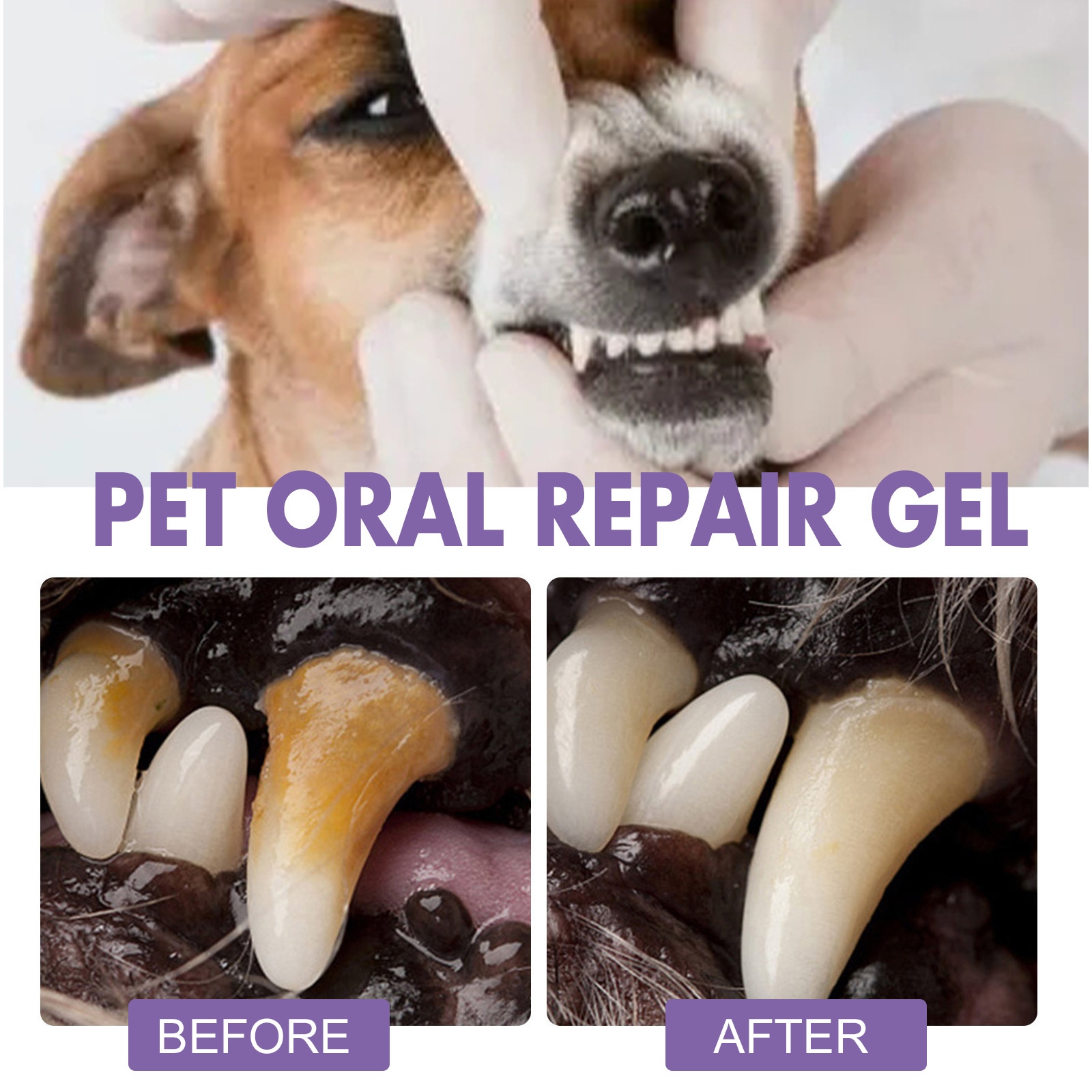 Gel de reparação oral para ani - Teeth Whitening Products avaliação e preço